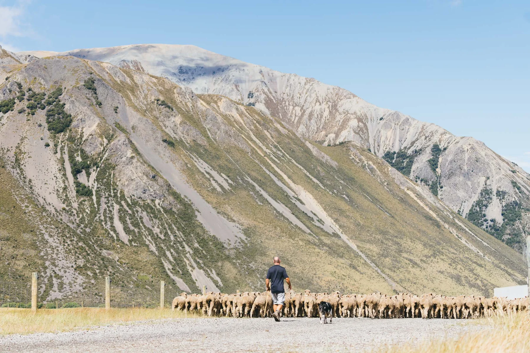 High-country farm activity at Flockhill Station