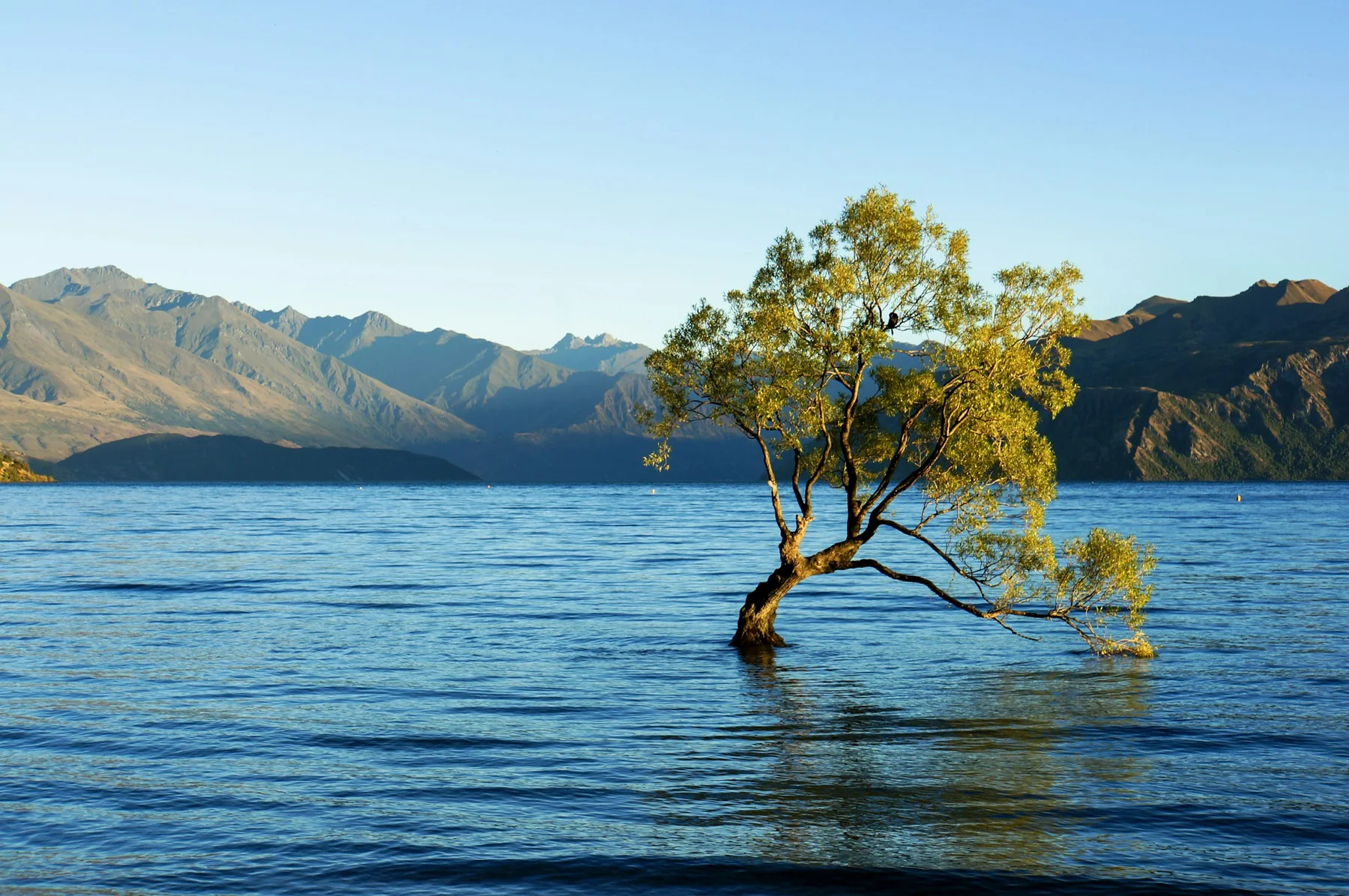 Lake Wanaka with mountain reflections and island-dotted water