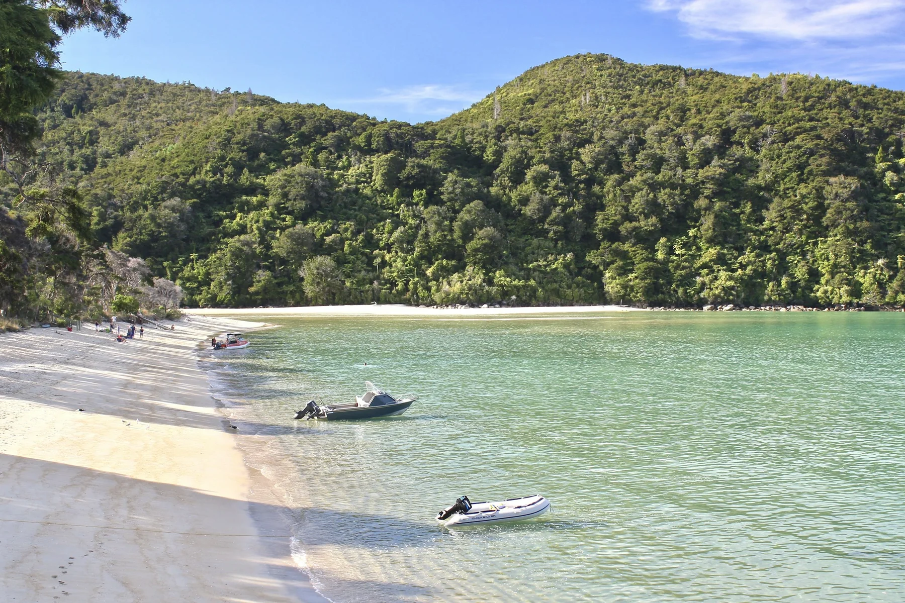 Golden sand and clear water in Abel Tasman National Park