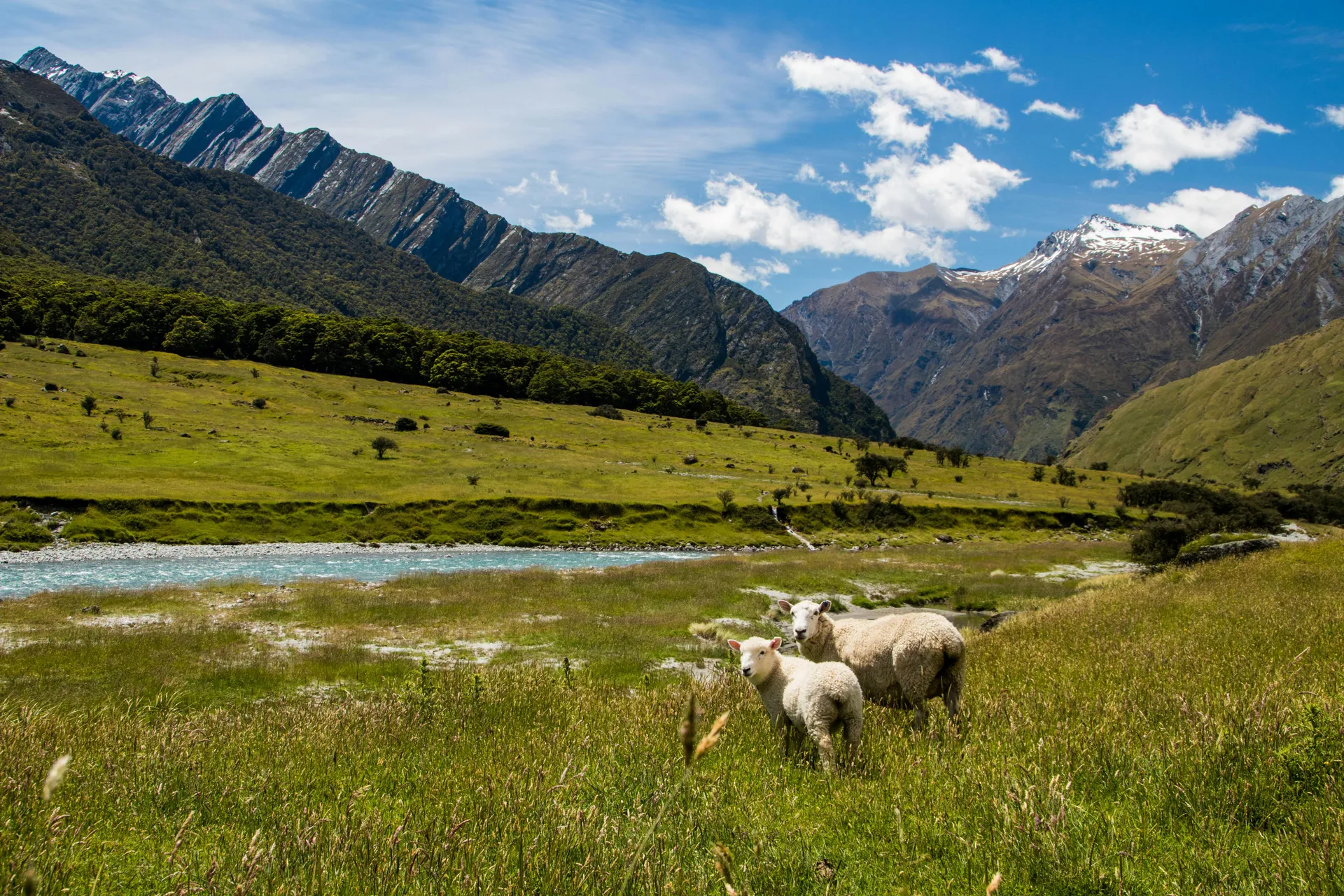New Zealand High Country